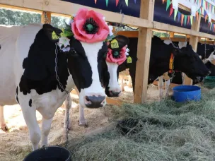 Выставка «День поля-2025» пройдет в Нижегородской области 10 и 11 июля